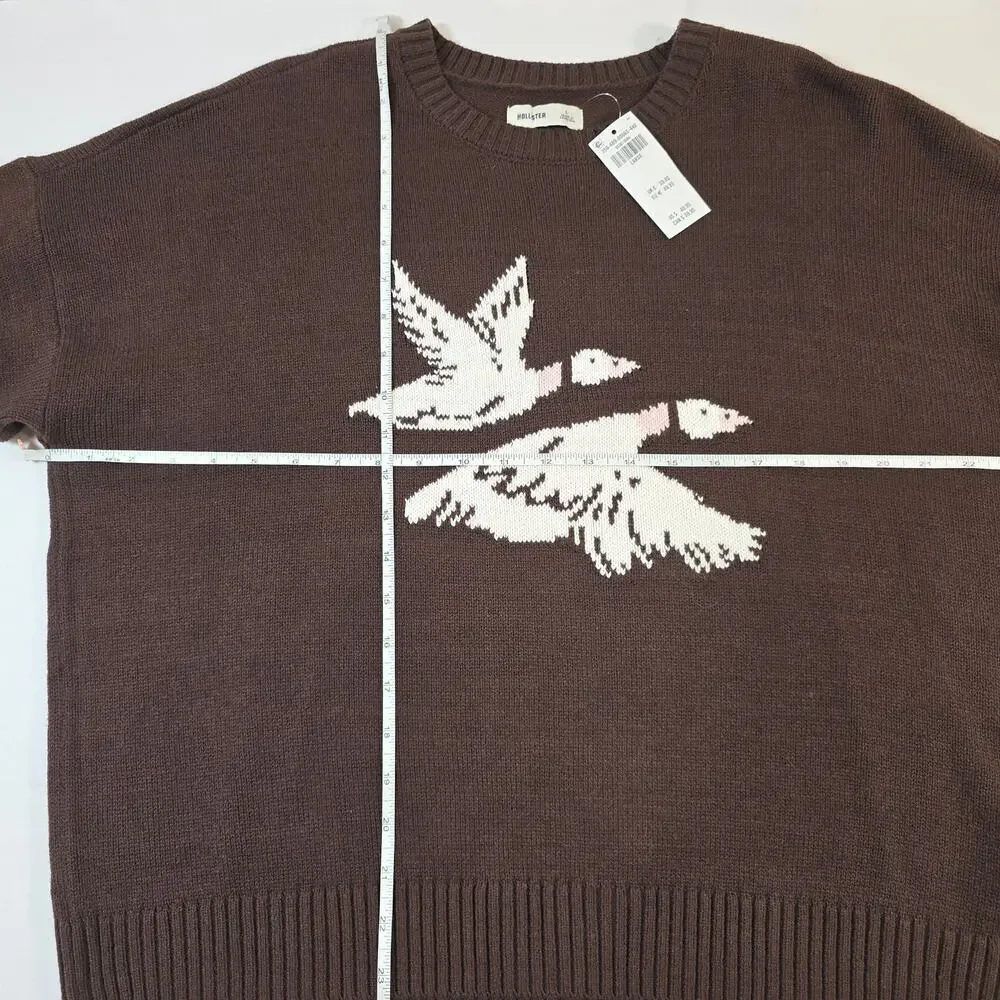 NWT Hollister Flying Birds Sweater